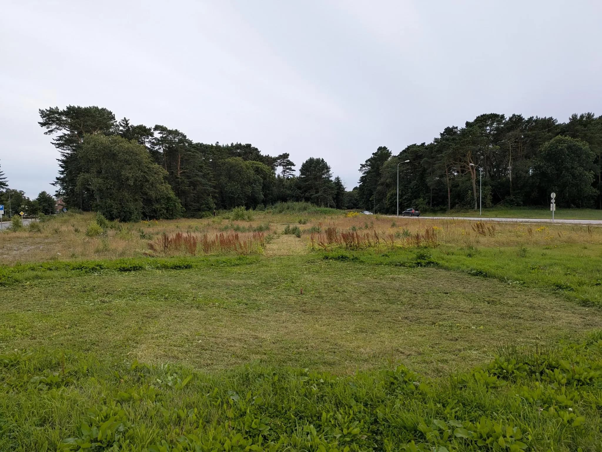 Oversikt over klippet gress og spillelinjer mellom skogholt og vei på Solakrossen.